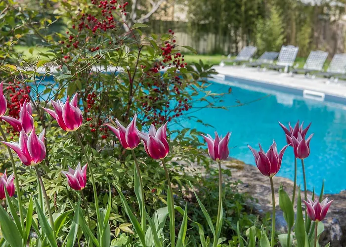 Relais Corte Rodeschi 4* Camaiore