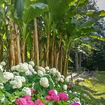 Relais Corte Rodeschi 4* Камайоре