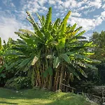 Relais Corte Rodeschi Отель Камайоре