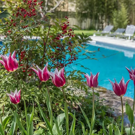 Relais Corte Rodeschi 4* 卡麦奥雷